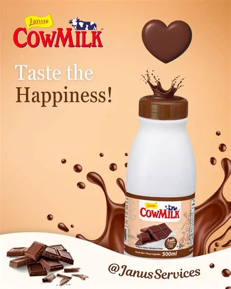 Lait Aromatisé Chocolat 500ml